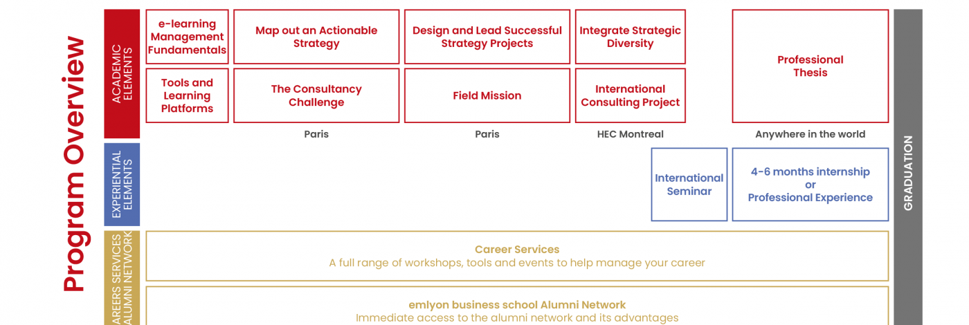 Structure programme MSc in Strategy & Consulting